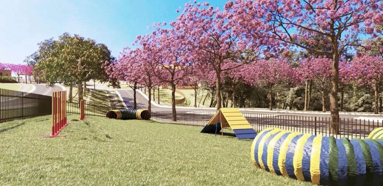 Terreno, 524 m² - Foto 9