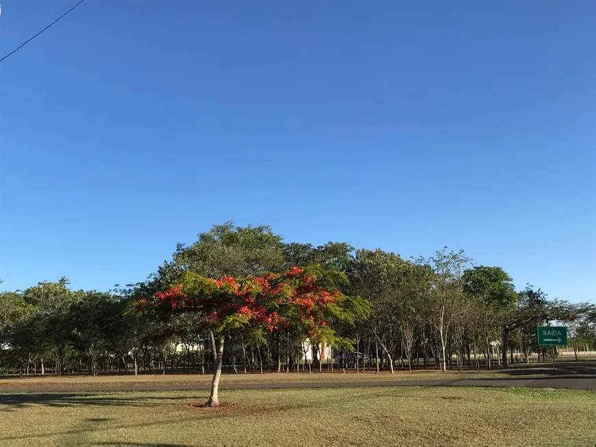 Terreno, 1017 m² - Foto 6