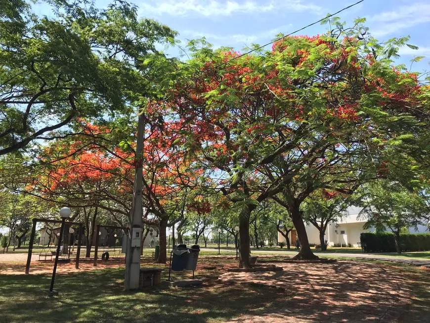 Terreno, 1017 m² - Foto 10